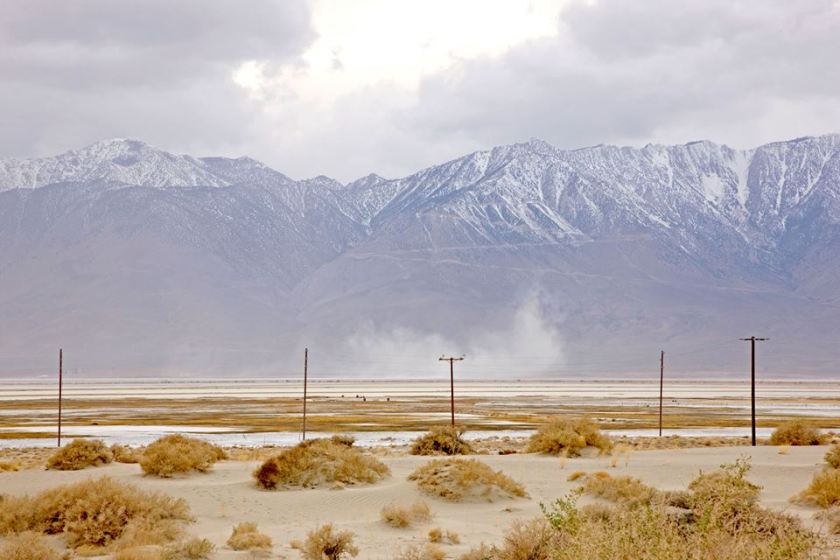 Saisonscape - Beauty in the Bleak