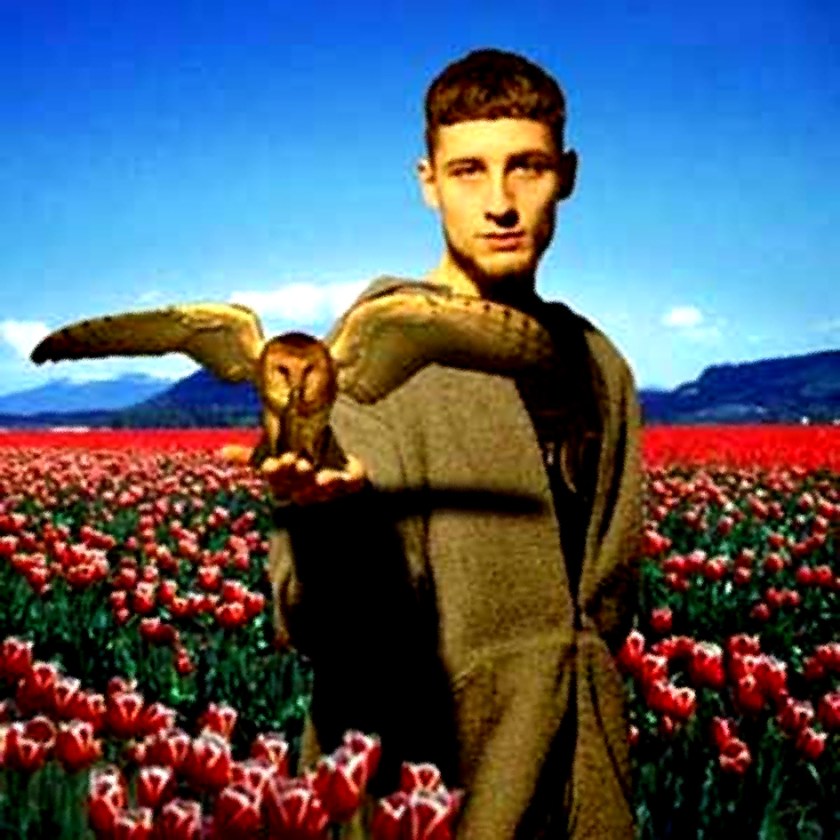 Luke Vibert And Owl